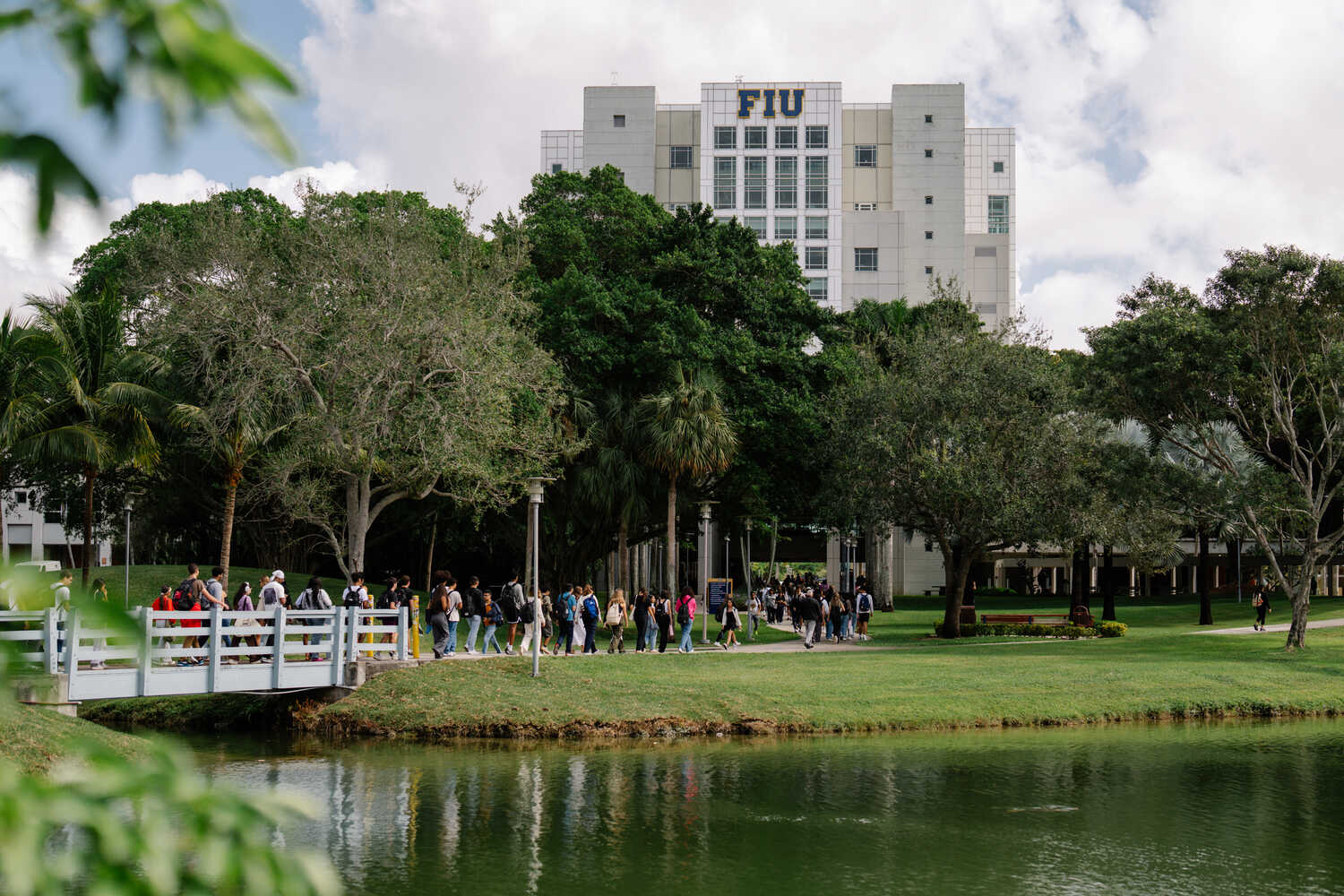 Trustees at Florida International University marked for removal 22 courses that are heavily focused on social sciences.