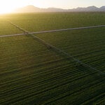 Democrats and Republicans cannot get past a core dispute over how to pay for an updated farm bill.