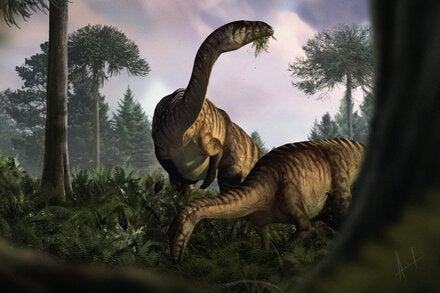 Artistic reconstruction of herbivorous, fern-eating sauropodomorph dinosaurs in the early Jurassic ecosystem of Soltykow.